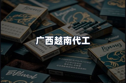 广西越南代工